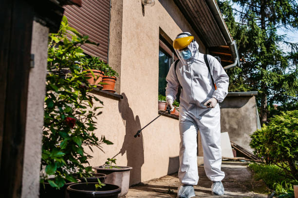 Best Local Pest Control Services  in Paynesville, MN