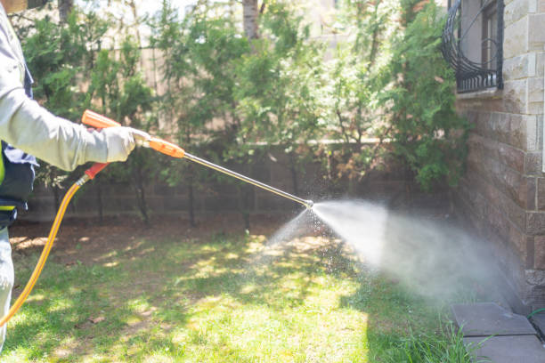 Wasp Removal Services in Paynesville, MN