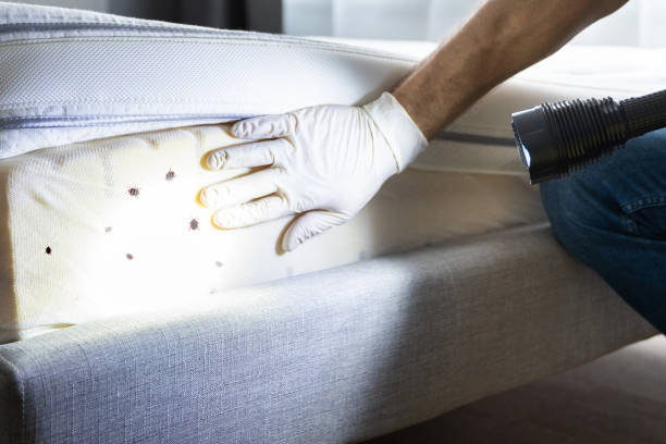 Best Wildlife Control Services  in Paynesville, MN