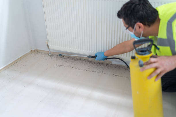 Best Pest Control Treatment  in Paynesville, MN