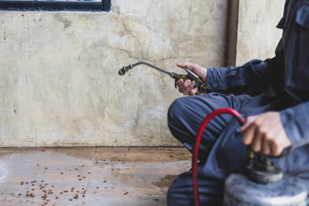 Best Affordable Pest Control Services  in Paynesville, MN